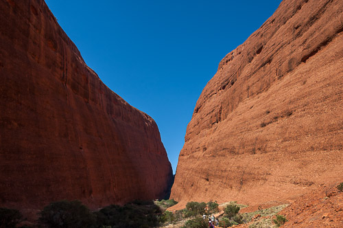 dsc_8142.jpg