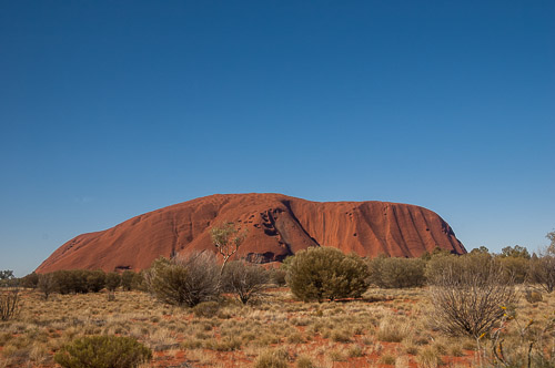dsc_8177.jpg
