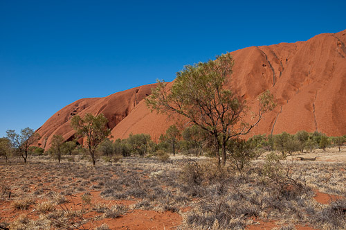dsc_8189.jpg