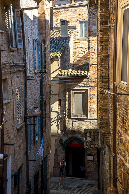 DSC_2015.jpg