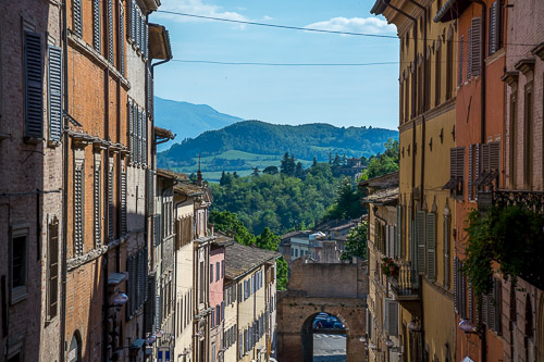 DSC_2018.jpg