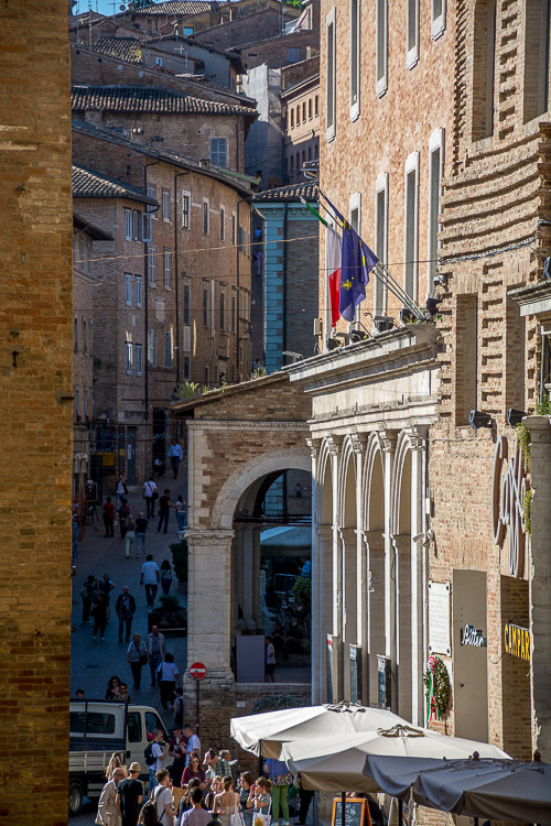 DSC_2042.jpg