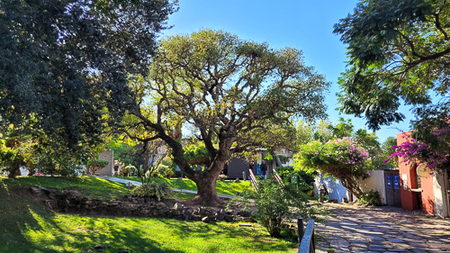 DSC_1260_20260426_100927.jpg
