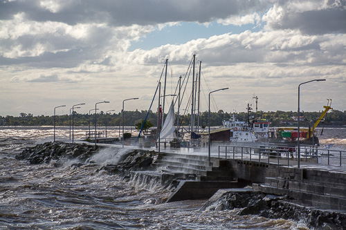 DSC_1422.jpg