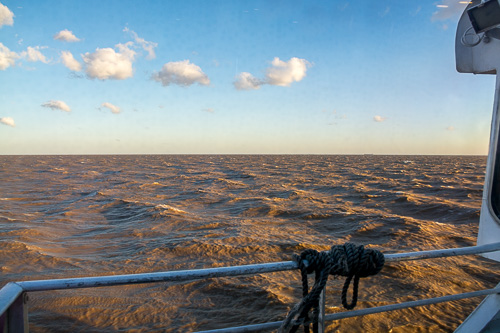 DSC_1446.jpg