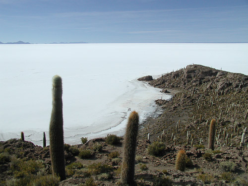 p6050157.jpg