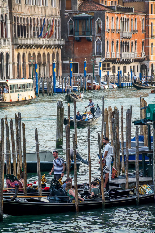 DSC_2318.jpg