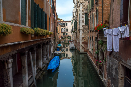 DSC_2338.jpg