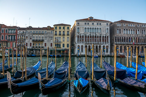 DSC_2380.jpg