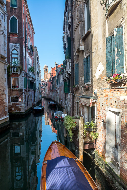 DSC_2473.jpg
