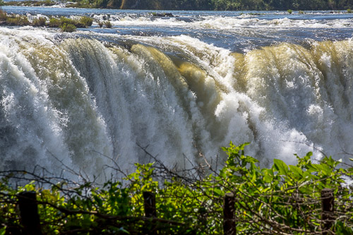 DSC_1052.jpg