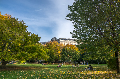 DSC_7304.jpg