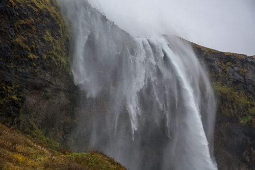 DSC_4793.jpg