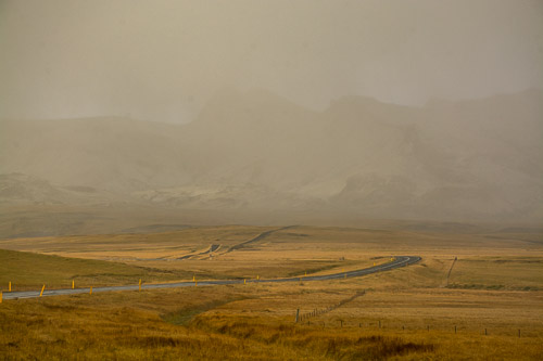 DSC_4910.jpg
