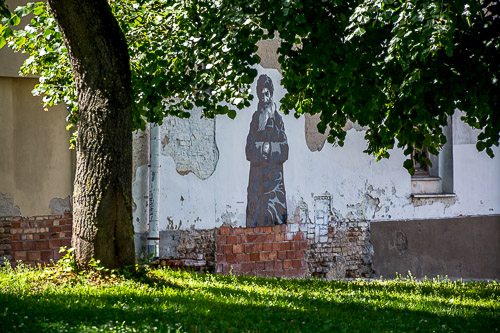 DSC_4876.jpg