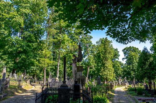 DSC_5135.jpg