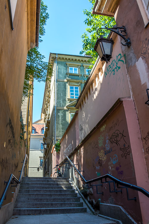 DSC_2354.jpg