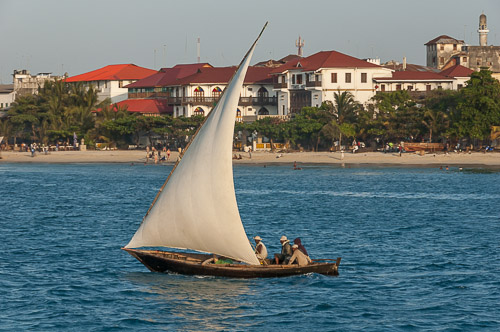 dsc_1954.jpg