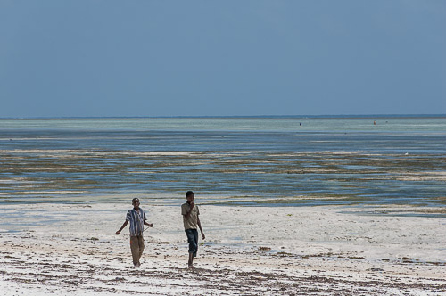 dsc_2055.jpg