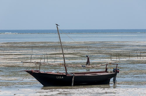 dsc_2073.jpg