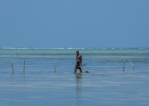 dsc_2098.jpg
