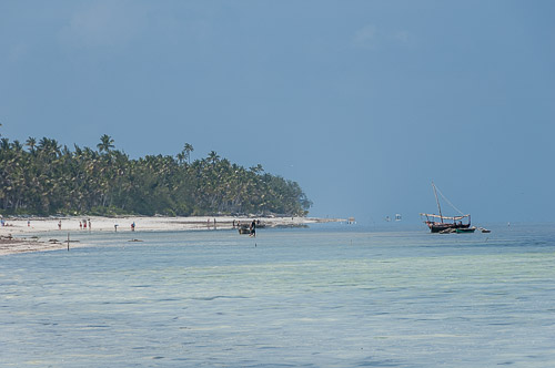 dsc_2099.jpg