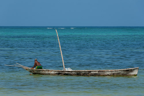 dsc_2113.jpg