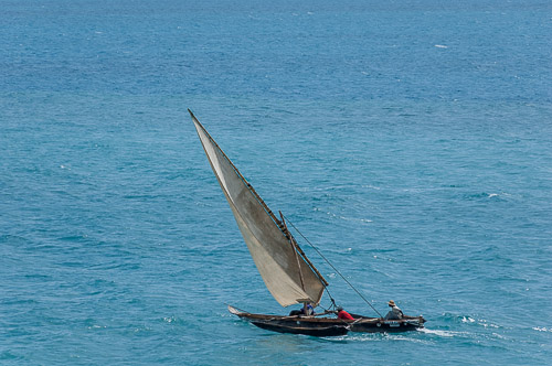dsc_2175.jpg
