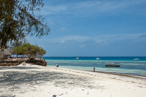 dsc_2219.jpg