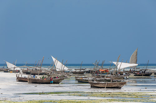 dsc_2238.jpg