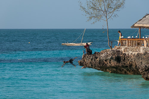 dsc_2286.jpg