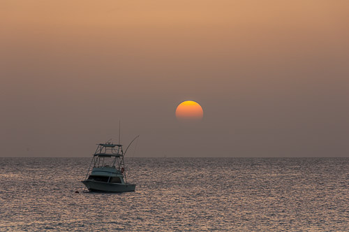 dsc_2297.jpg